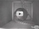 Successful trap attempt (YouTube)